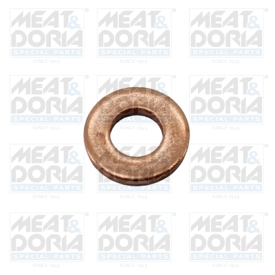 Seal Ring, injector